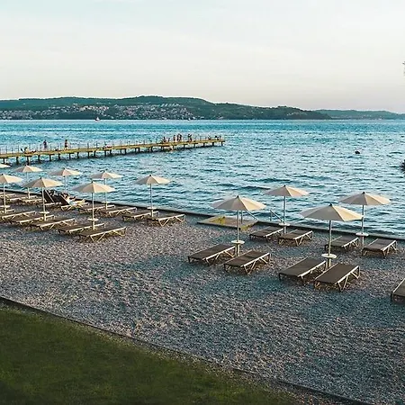 Delizia * אנקראן