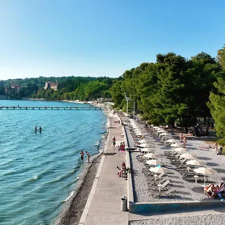 Apartment Delizia Ankaran