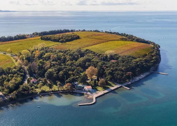 Delizia 公寓 安卡兰