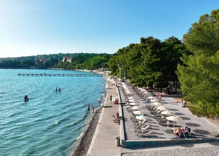 公寓 Delizia 安卡兰